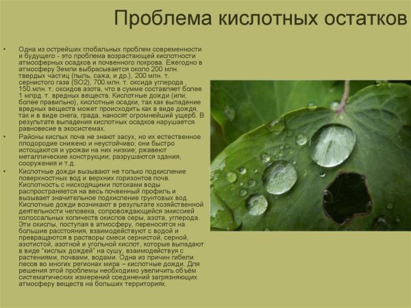 Кислотные дожди образуются в результате