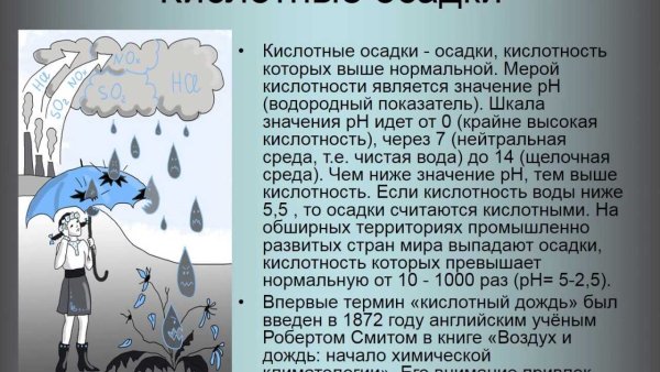 Кислотные дожди презентация