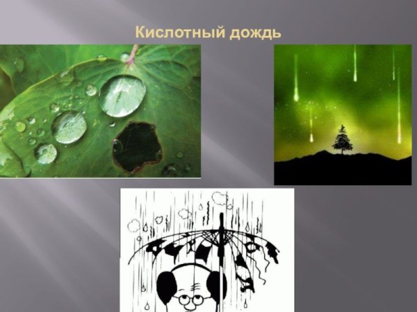Кислотные дожди