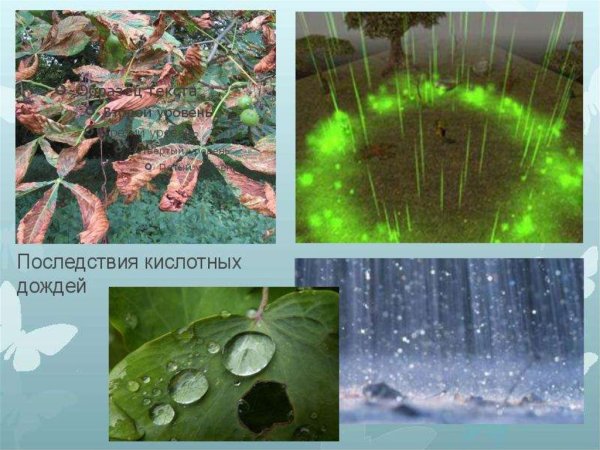 Последствия кислородных дождей