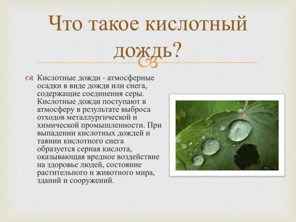 Презентация на тему кислотные дожди