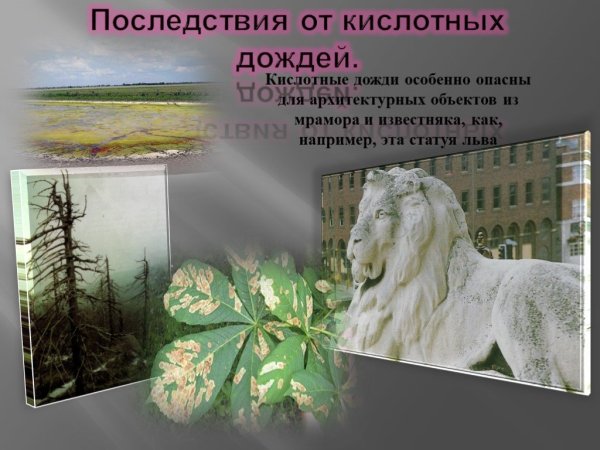 Кислотные дожди