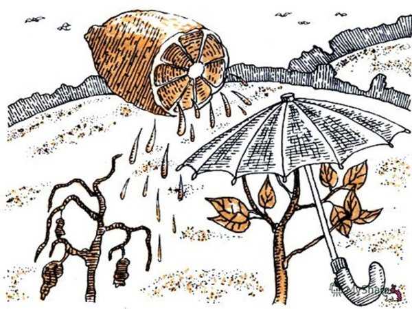 Кислотные осадки иллюстрации