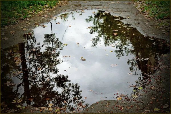 Лужа на земле