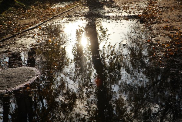 Отражение в луже