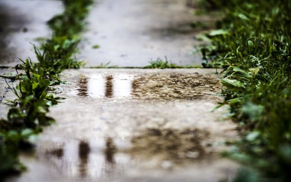 Маленькие лужи