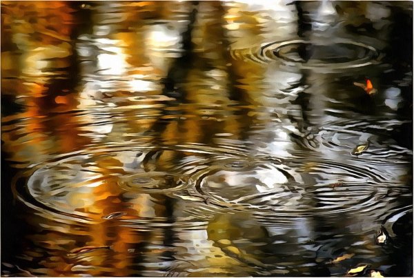 Капли на луже