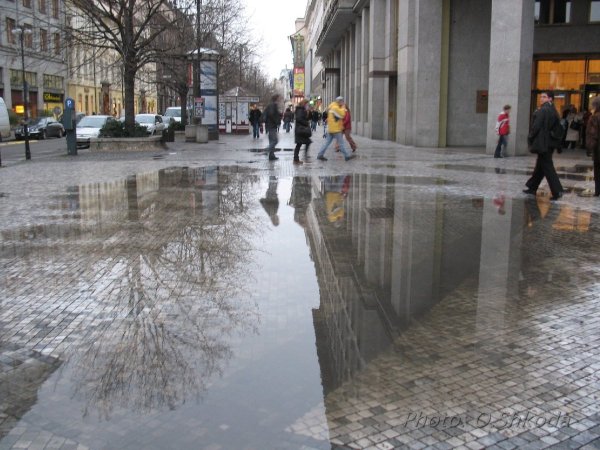 Лужа в городе