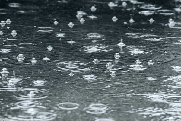 Пузыри на лужах