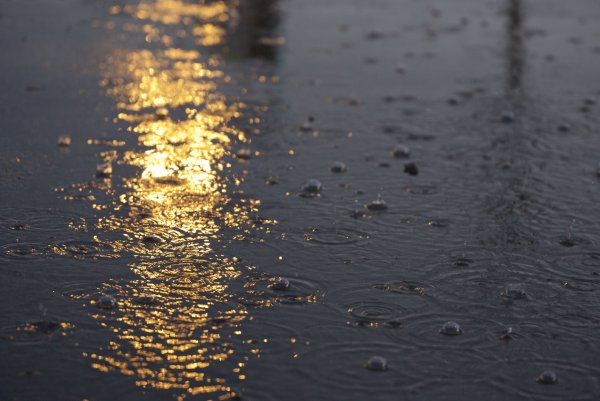 Дождевая вода