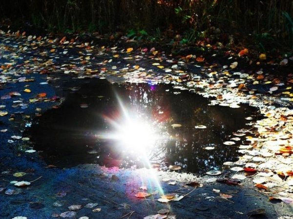 Звезды отражаются в луже