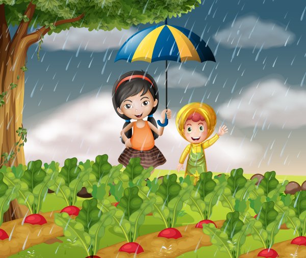 Иллюстрации летний дождик для детей