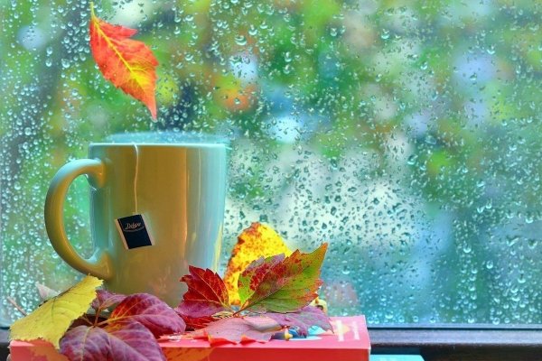 Дождливое утро осени