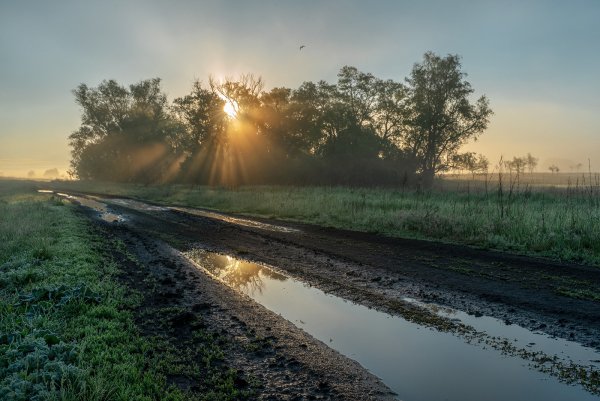 Дождь на рассвете