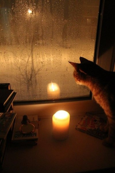 Уютный дождливый вечер