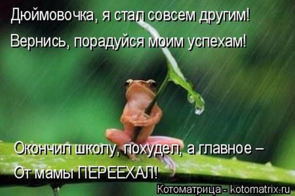 Дюймовочка смешная