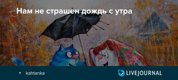 Дождь не страшен