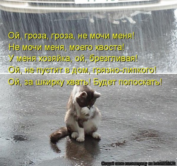 Стихи про дождь прикольные