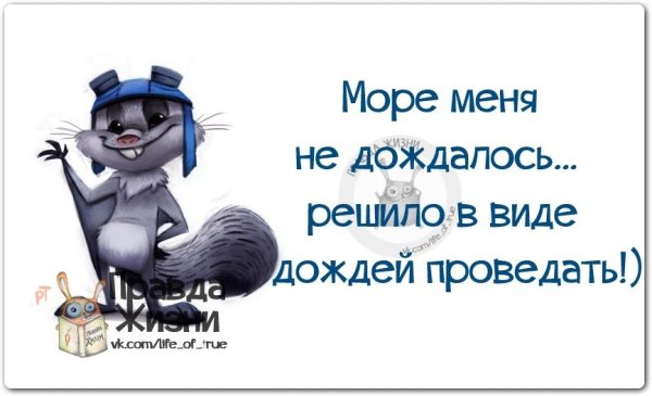 Смешные цитаты про дождь