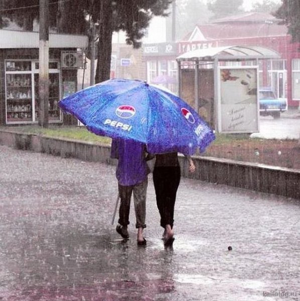 Приколы про дождливую погоду