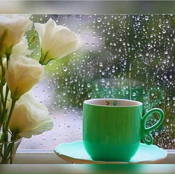 Доброе дождливое у то РО