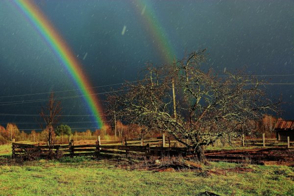 Природа после дождя