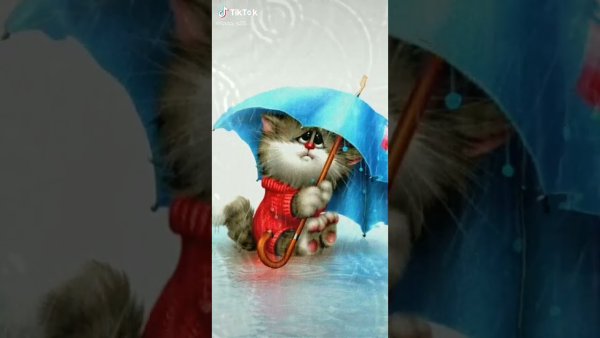 Че у вас там дождь идет или не идет