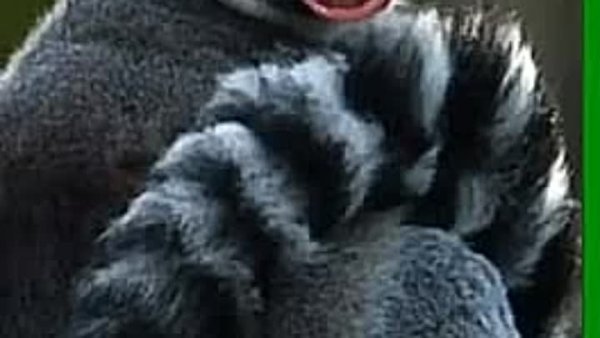 У вас дождь идет а у нас