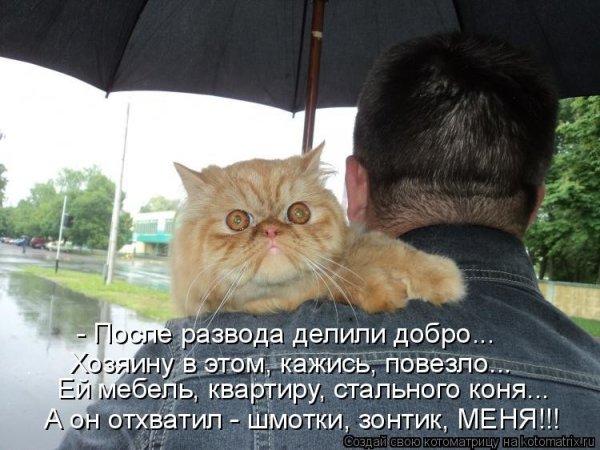 Поздравление с разводом мужчине