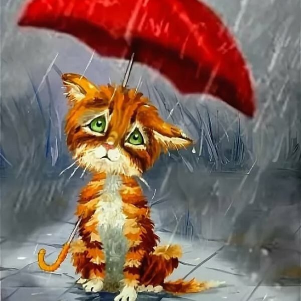 Котенок под зонтиком