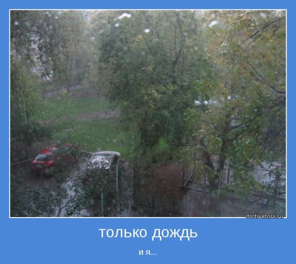 Смешные фразы про дождь