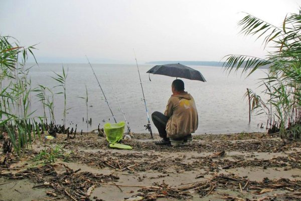 Рыбалка в дождь