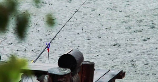 Рыбалка в дождь