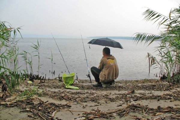 Ловля рыбы в дождь