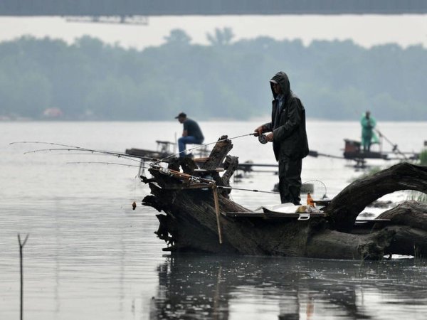 Рыбак в дождь