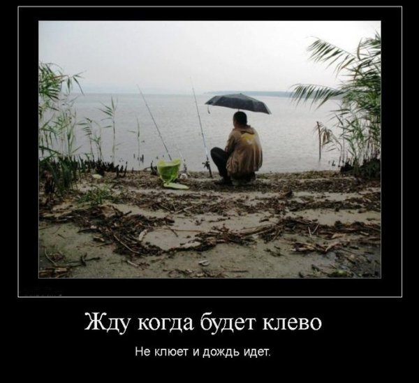 Рыбалка в дождь прикол