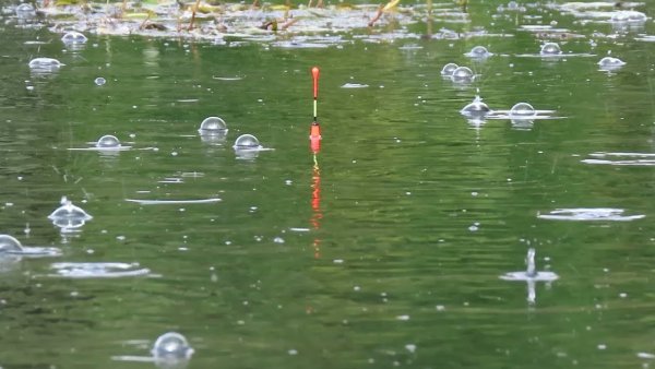 Сильный дождь на рыбалке