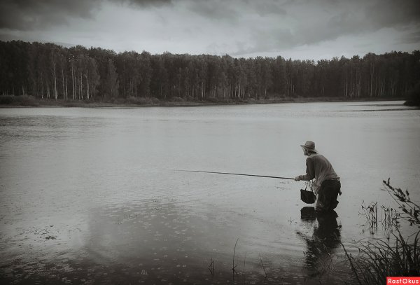 Рыбалка черно белые снимки