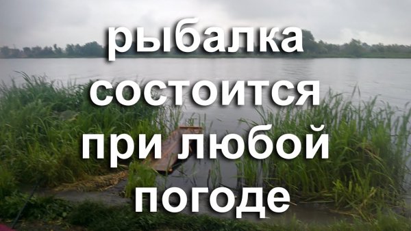 Рыбалка состоится при любой погоде