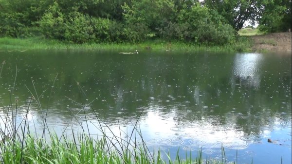 Рыбалка в дождь