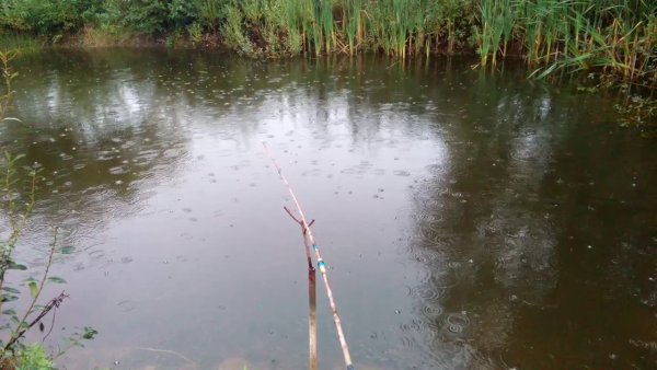 Рыбалка в дождь