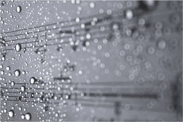 Дождик мелодия