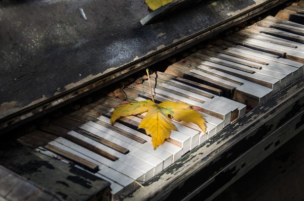 Пианино под дождем