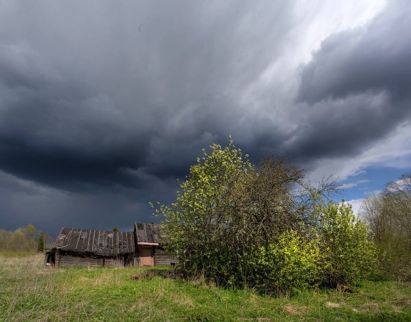 Перед грозой в деревне