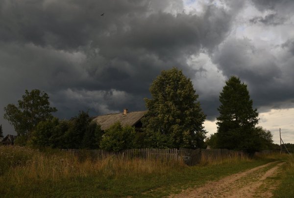 Пасмурный день