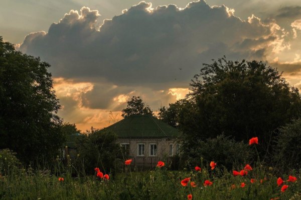 Перед грозой в деревне
