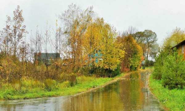 Дождливая осень в деревне