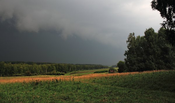 Надвигается гроза