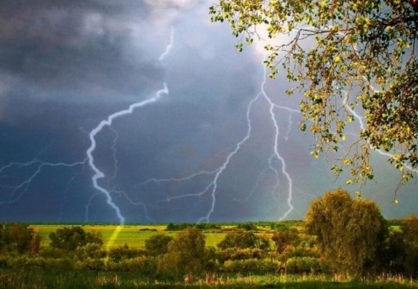 Весенняя гроза Тютчев картина