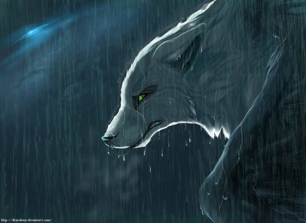 Плачущий волк